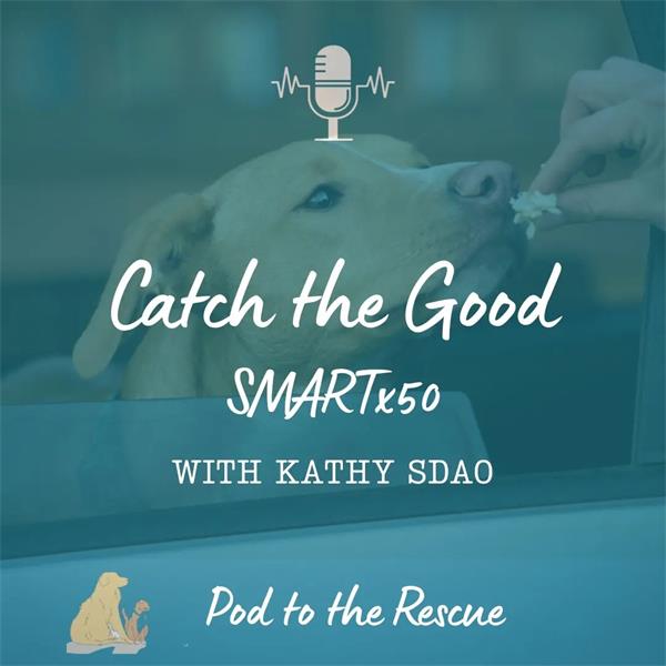 Kathy Sdao discussed her SMARTx50 protocol and how it can help shelter and rescue dogs! 